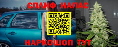 амф Усть-Джегута