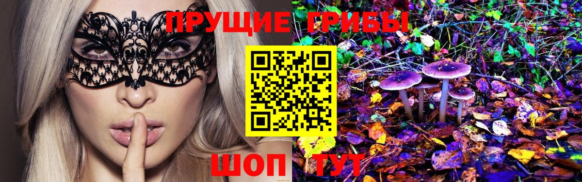 Псилоцибиновые грибы Cubensis  Вход с VPN  Сургут 